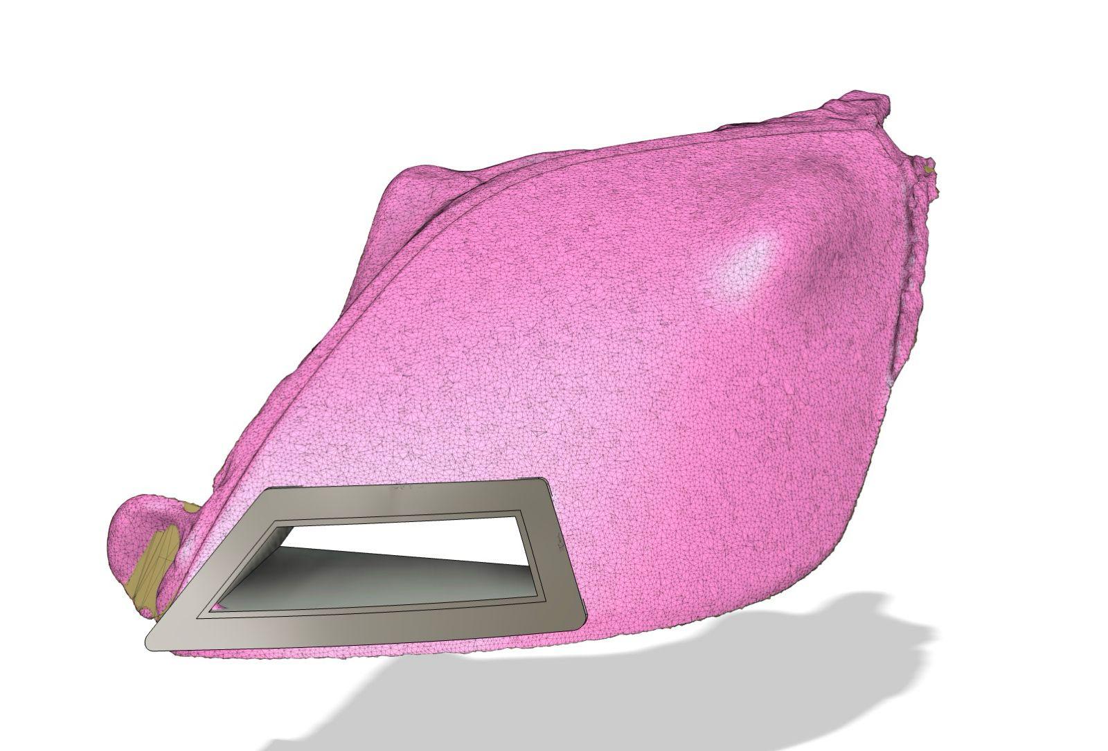 Fiesta MK6 Headlight Intake