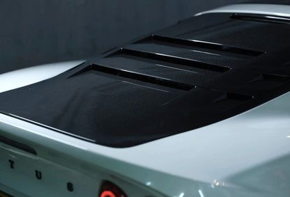 Lotus Exige V6 Louvre Carbon Rear Tailgate