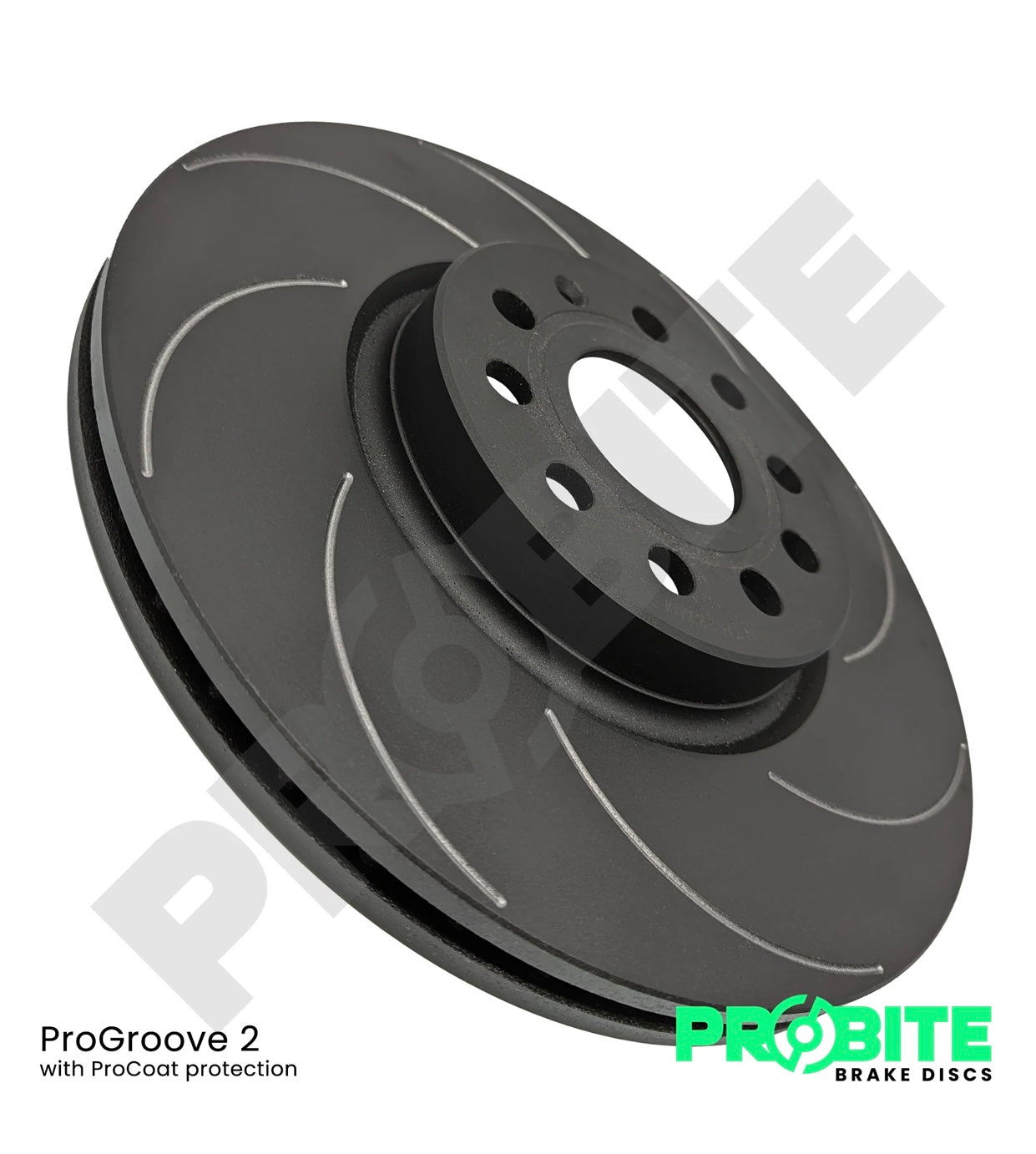 Ford Focus ST170 ProBite Front Brake Discs